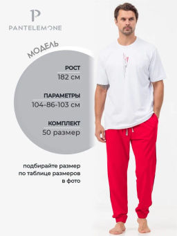 Костюм домашний (пижама) мужской PDK-370 - Pantelemone фото 7