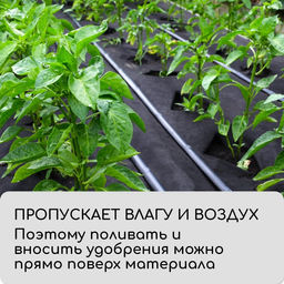 Материал мульчирующий, 10×3.2 м, плотность 60 г/м², спанбонд с УФ-стабилизатором, чёрный, Greengo, Эконом 30%