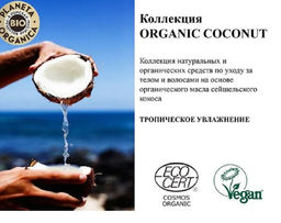 Гель для душа натуральный, 280 мл. Planeta Organica / Organic coconut /  фото 2