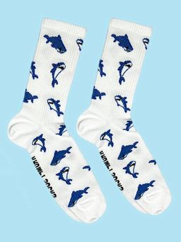 Носки р.35-40 TxT Акула - Krumpy фото 2