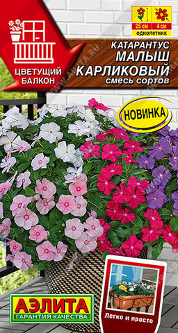Катарантус Малыш карликовый, смесь сортов