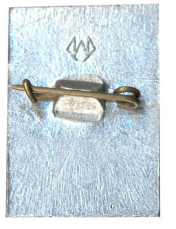 Значок Общество охраны памятников истории и культуры РСФСР