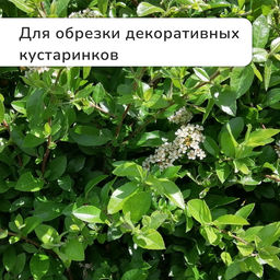 Секатор плоскостной, 7 (18 см), с пластиковыми ручками, Greengo  фото 9