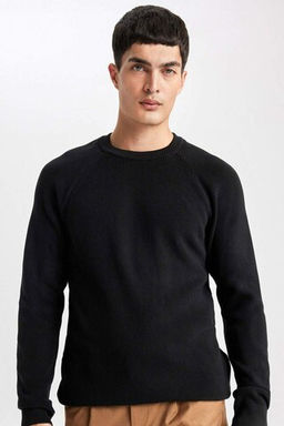 Standart Fit Normal Kesim Bisiklet Yaka Basic Duz Triko Kazak - Defacto фото 7