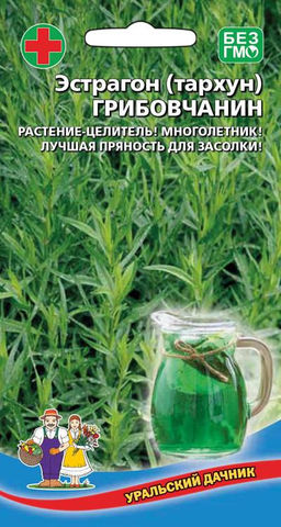 Эстрагон ГРИБОВСКИЙ