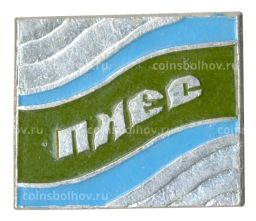 Значок Плёс