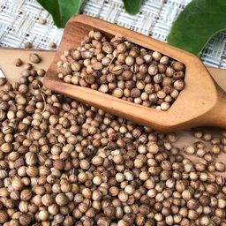 2 шт. Кориандр (семена) - Мариславна фото 2