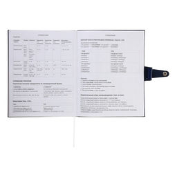 Дневник школьный для 1-11 классов Favorite, мягкая обложка, на кнопке, искусственная кожа, тиснение фольгой, хлястик, ляссе, 48 листов