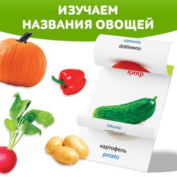 Книга по методике Г. Домана Овощи, на казахском языке - Буква-Ленд фото 3