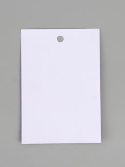 Цена за 10 шт. Наклейки бумажные «Принцессы», 11 × 15.5 см