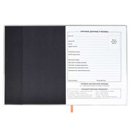 Дневник школьный арт. 58748 / 15 СПИЧКА - Феникс+ фото 4