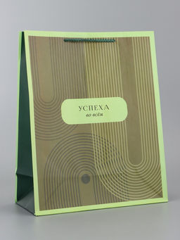 Цена за 2 шт. Пакет подарочный ламинированный вертикальный «Элегантность», 26×12×32 см