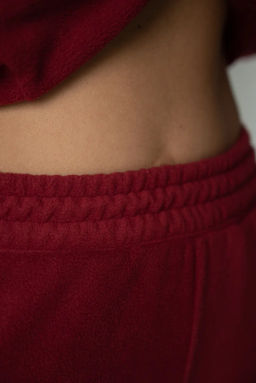 Джоггеры БР 388о-12 Винный - T.C.T фото 7