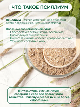 Фитококтейль "Детокс с псиллиумом", 5 стиков по 10 г Алфит 8475