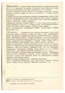 Открытка Шиповник.Облепиха