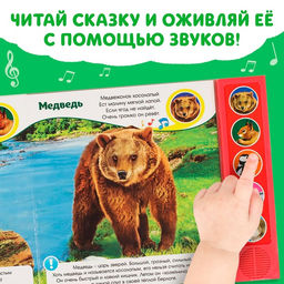 Музыкальная книга Звуки леса, 10 стр. - Буква-Ленд фото 8