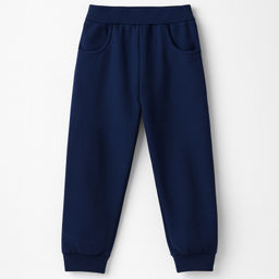 Брюки футер 2х нитка начес 0387310202