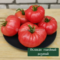 Великан семейный розовый