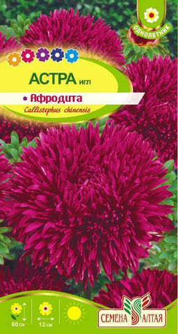 Астра Афродита Игл 0,2г (Семена Алтая)