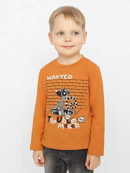 CWKB 63233-29-328 Джемпер для мальчика,оранжевый