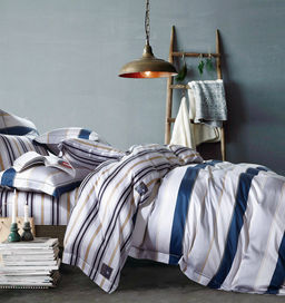 Простыня Евростандарт Северная звезда 240х220см, поплин Премиум Пакистан 125г/м2, хлопок 100%, упаковка классическая ПВХ 28х41см, Домашняя мода (Россия)