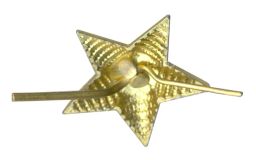 Звезда на погоны для старших офицеров