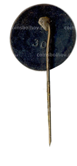 Значок Рига