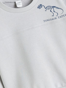 Dinozor Bask?l? Erkek ?ocuk Sweatshirt ve E?ofman Alt