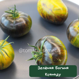 Зелёная богиня Ксанаду - Tomatia фото 4