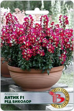 Антиринум Антик F1 Ред Биколор