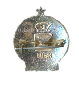 Значок Турист СССР