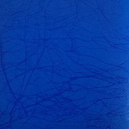 Expert Complete Premier Папка на резинке A4 600 мкм 35 мм волокно 5 шт. синий new EC21043002