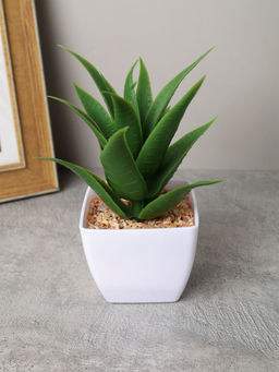 Цветочная композиция Кактус 8-12 см / KL-06 /уп 12/288/ - ГалеонТрейд фото 5