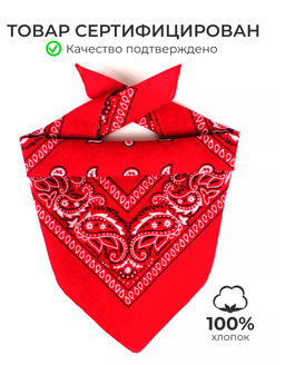 K13763 Платок-бандана (55/55см хлопок) МУЛЬТИЦВЕТ_01