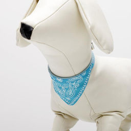 Ошейник с косынкой 32 х 1 см, ОШ 22-28, голубой - Пижон фото 4