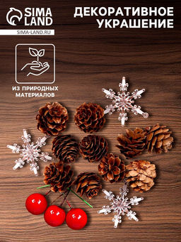 Новогодний декор Шишки со снежинками, набор