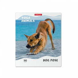 Цена за 5 шт. Тетрадь общая ученическая ErichKrause Yoga Style, 48 листов, клетка, матовая ламинация_MIX-PACK фото 3