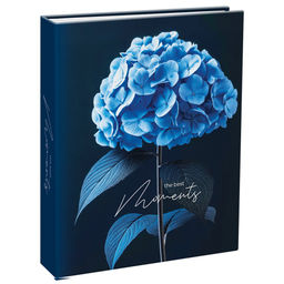 Фотоальбом "ArtSpace" 100 фото, 10*15 (РА100_66506) "Hydrangea"