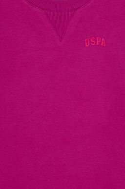 K_z _ocuk Fu_ya _ardonlu Bisiklet Yaka Basic Sweatshirt Sepette S_rpriz _ndirim - U.s. polo assn фото 4