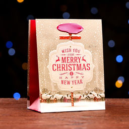 Цена за 12 шт. Пакет ламинированный Новогодний позитив 11,5 х 14,5 х 6 см