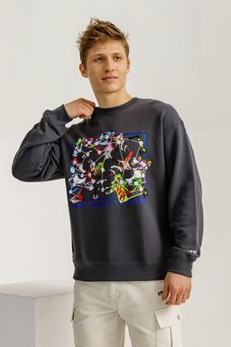 Свитшот Anta Skate Culture