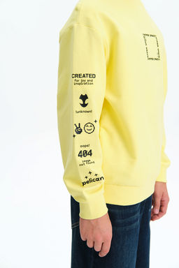 BFN3377 Толстовка для мальчиков - Pelican фото 3