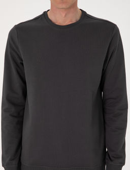 Antrasit 2 _plik Regular Fit Bisiklet Yaka Basic Sweatshirt - Pierre cardin фото 6