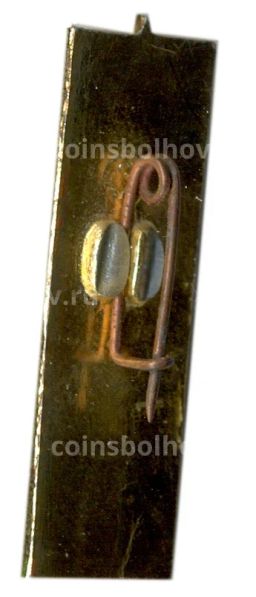 Значок Никольская башня