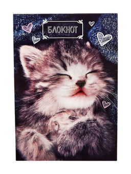 Цена за 20 шт. Блокнот А6, 24 листа в клетку на скрепке «Котята», обложка мелованный картон, МИКС