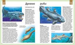 Универсальная школьная энциклопедия (нов.оф.). Перруден Ф., Камбурнак Л., Симон Ф.,... - Махаон фото 7