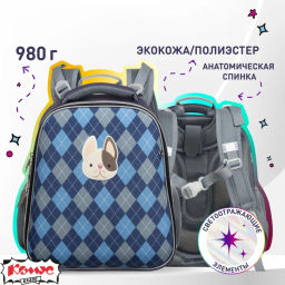 Ранец Комус Basic Собачка, клетка синий , 2 отд, эргоном спинка