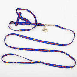 Комплект Super DOG, шлейка 26-39 см, поводок 120х1 см, медальон - Пушистое счастье фото 3