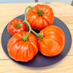 Гигант без семян НОВИНКА 2025 года!