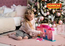 Кукольный домик София с набором мебели и автомобилем (14 элементов) (в пакете) - Полесье фото 11